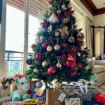 Sophie Choudry Instagram – Merry Xmas everyone.. Love, laughs & so much gratitude🎅🏻💚
#xmas #christmas #christmaslunch #friendslikefamily #petmom #shihtzu #xmastree #tablesetting #sophiechoudry #grateful #mymumsthebestcook