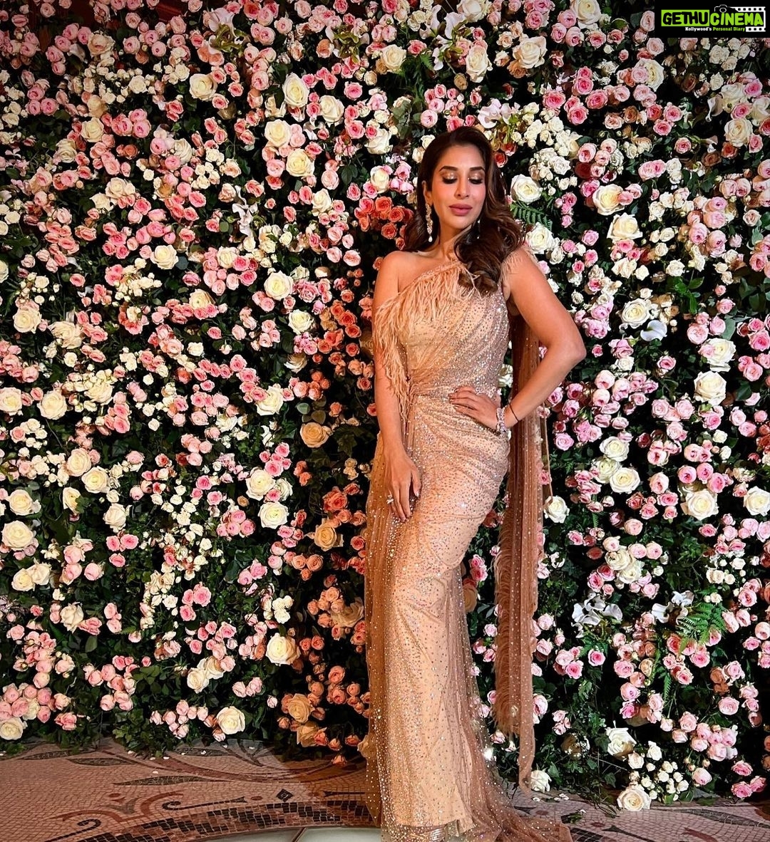 Sophie Choudry Instagram - La vie en rose..quite literally 🌹 Outfit @monishajaising Jewels @diosaparis Styling @wardrobist @aasthasharma @iammanisha HMU @divyachablani15 #redcarpet #styleinspo #eventdiaries #cockailgown #lavieenrose #bling #lepetitpalais #sophiechoudry #monishajaising #vintagevibes