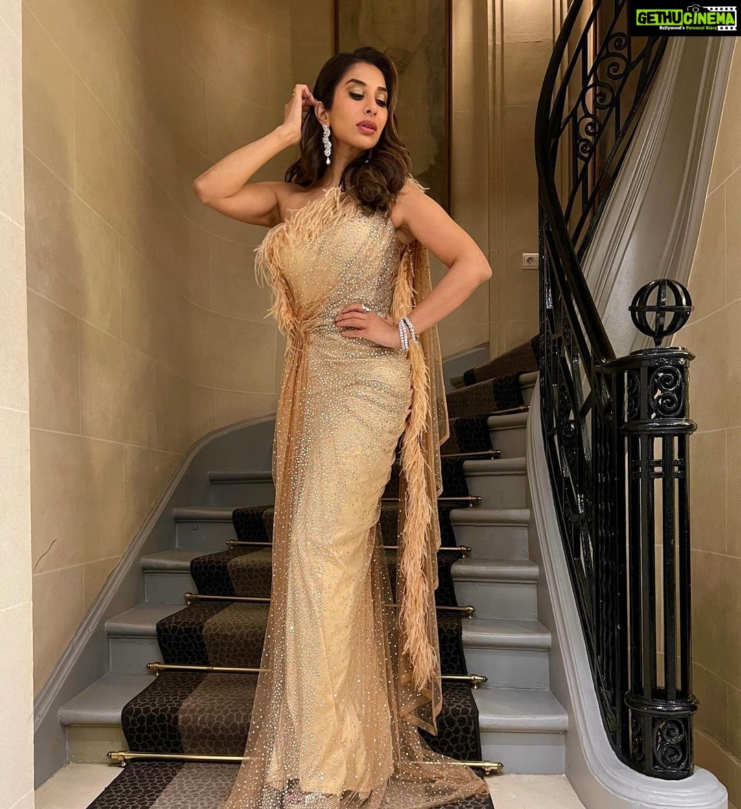 Sophie Choudry Instagram - La vie en rose..quite literally 🌹 Outfit @monishajaising Jewels @diosaparis Styling @wardrobist @aasthasharma @iammanisha HMU @divyachablani15 #redcarpet #styleinspo #eventdiaries #cockailgown #lavieenrose #bling #lepetitpalais #sophiechoudry #monishajaising #vintagevibes