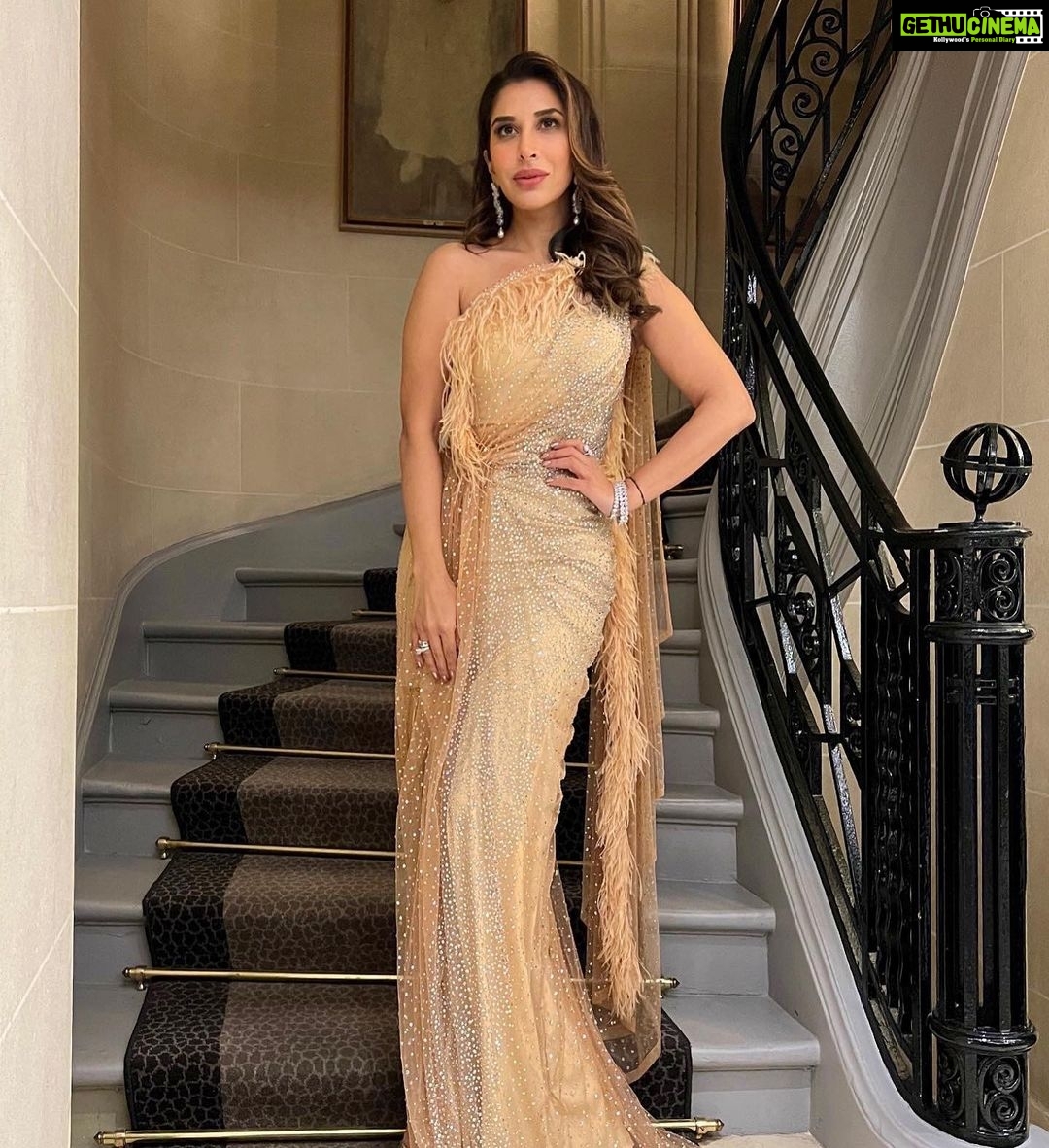Sophie Choudry Instagram - La vie en rose..quite literally 🌹 Outfit @monishajaising Jewels @diosaparis Styling @wardrobist @aasthasharma @iammanisha HMU @divyachablani15 #redcarpet #styleinspo #eventdiaries #cockailgown #lavieenrose #bling #lepetitpalais #sophiechoudry #monishajaising #vintagevibes
