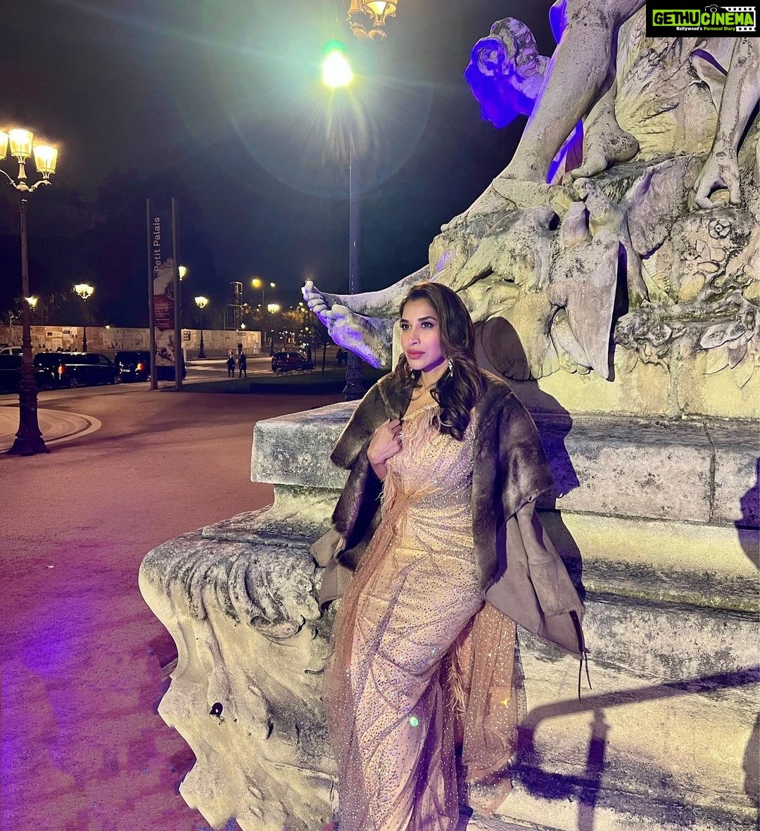 Sophie Choudry Instagram - La vie en rose..quite literally 🌹 Outfit @monishajaising Jewels @diosaparis Styling @wardrobist @aasthasharma @iammanisha HMU @divyachablani15 #redcarpet #styleinspo #eventdiaries #cockailgown #lavieenrose #bling #lepetitpalais #sophiechoudry #monishajaising #vintagevibes