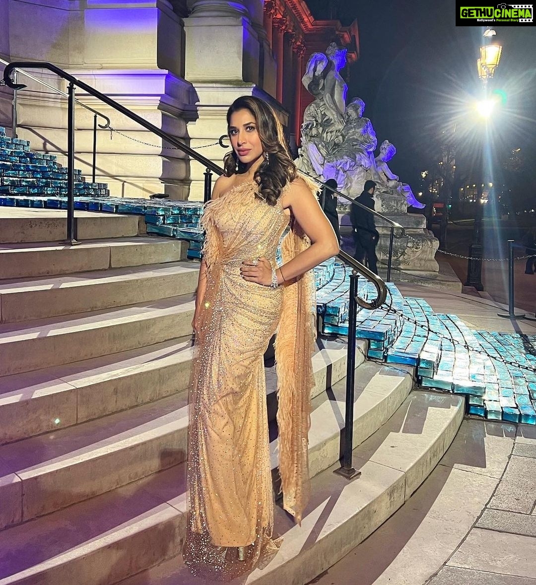 Sophie Choudry Instagram - La vie en rose..quite literally 🌹 Outfit @monishajaising Jewels @diosaparis Styling @wardrobist @aasthasharma @iammanisha HMU @divyachablani15 #redcarpet #styleinspo #eventdiaries #cockailgown #lavieenrose #bling #lepetitpalais #sophiechoudry #monishajaising #vintagevibes