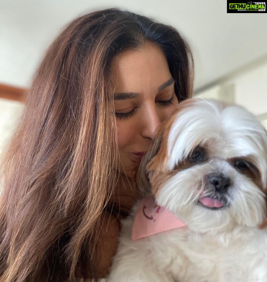 Sophie Choudry Instagram - So much to be thankful for…. My amazing family, my baby Tia, friends, my incredible team, good health, good food, the joy of singing, performing on stage doing what I love, the wonder of nature (especially the ocean), the opportunity to travel all across the world.. and all of you who give me so much love & support…Never for a minute do I take any of this for granted especially after the last 2 years🙏🏼❤️ #thanksgiving #thankful #grateful #sophiechoudry #gratitude #nevertakeanythingforgranted