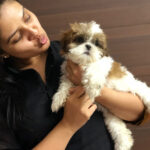 Sreemukhi Instagram - Meet “Cutie” @sonyfashions_sonyreddy New family member! Our first meet started off with a heated argument! She gave me a tough competition I must say! Later we compromised 😉 You know who compromised!