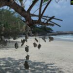 Sriti Jha Instagram - Of secluded beaches on strange islands #aowaibeach #kohsamet