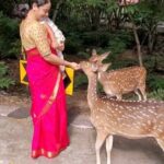 Suja Varunee Instagram - ❤️🎉🎂 These small little things made this 2021 birthday the best birthday ever! Such wonderful creation *DEERS* soooo cute ❤️ Thank you so much @shivakumarr20 😘❤️ #unforgettable #birthday #deer
