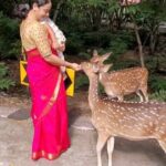 Suja Varunee Instagram – ❤️🎉🎂 These small little things made this 2021 birthday the best birthday ever! Such wonderful creation *DEERS* soooo cute ❤️

Thank you so much @shivakumarr20 😘❤️

#unforgettable #birthday #deer