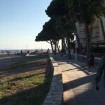 Usha Jadhav Instagram - #bicyclediaries con @alexcortescalahorra ♥️ . #lapineda #salou #cambrils #vilaseca #portaventura #tarragona #catalunya #españa #beach #laplaya #amor #lavida . #pandemic #coronavirus #covid19 #instagood #instadaily #instagram Platja de la Pineda
