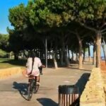 Usha Jadhav Instagram - #bicyclediaries con @alexcortescalahorra ♥️ . #lapineda #salou #cambrils #vilaseca #portaventura #tarragona #catalunya #españa #beach #laplaya #amor #lavida . #pandemic #coronavirus #covid19 #instagood #instadaily #instagram Platja de la Pineda