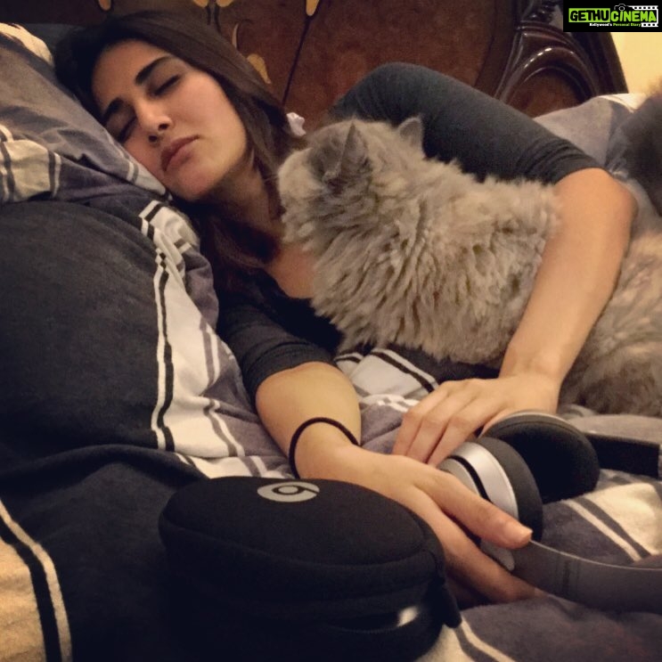 Vaani Kapoor Instagram - My comfort place.. Best nap ever😻