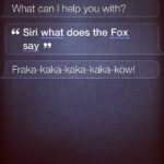 Vaani Kapoor Instagram – LMAO #hilarious #funniest #amusing Siri