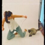 Vaani Kapoor Instagram – When one needs to pull all tricks for that purr-fect shot 🐱🐾 Im-Paw-ssibly cute 😻