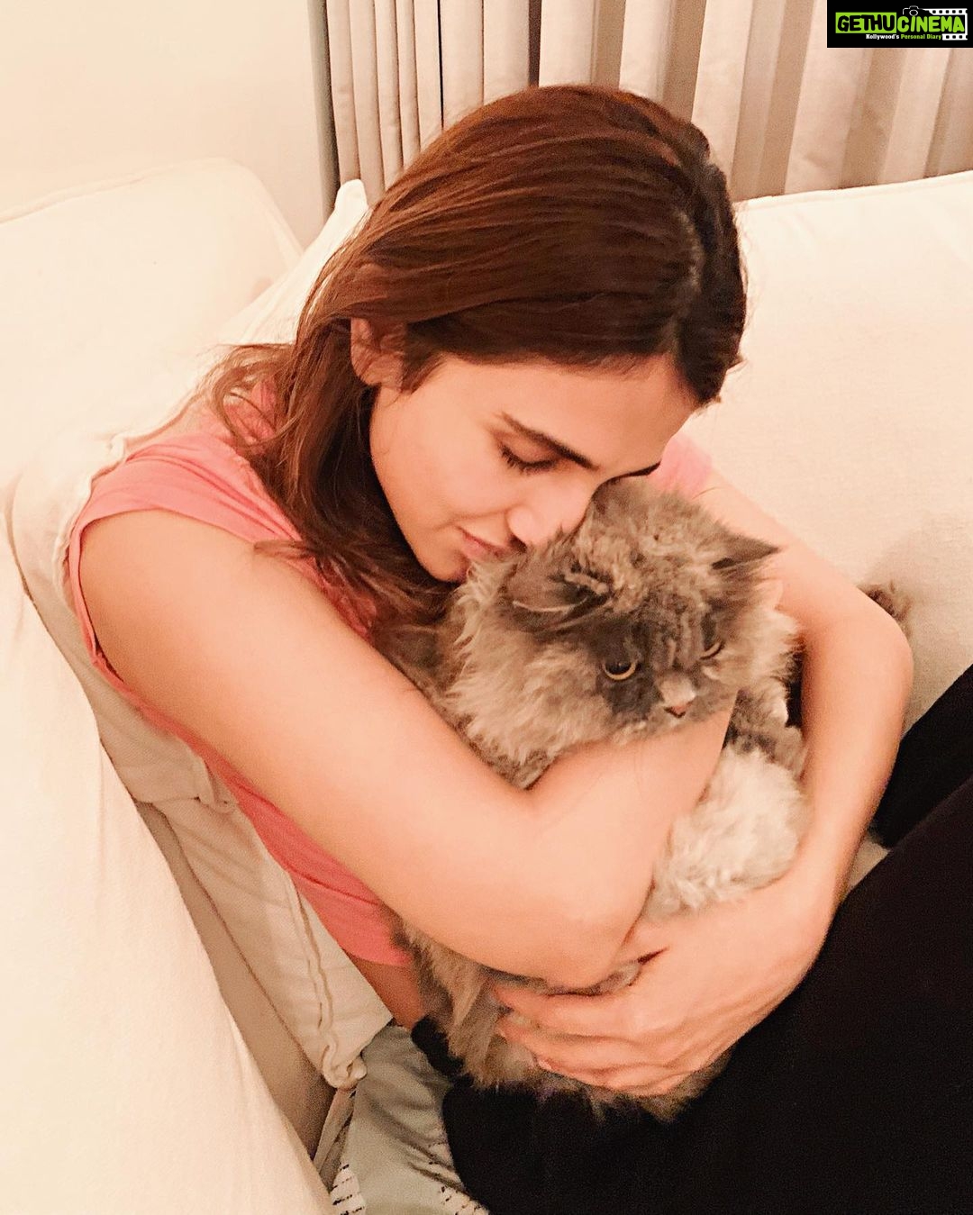 Vaani Kapoor Instagram - connoisseurs of comfort 🐱