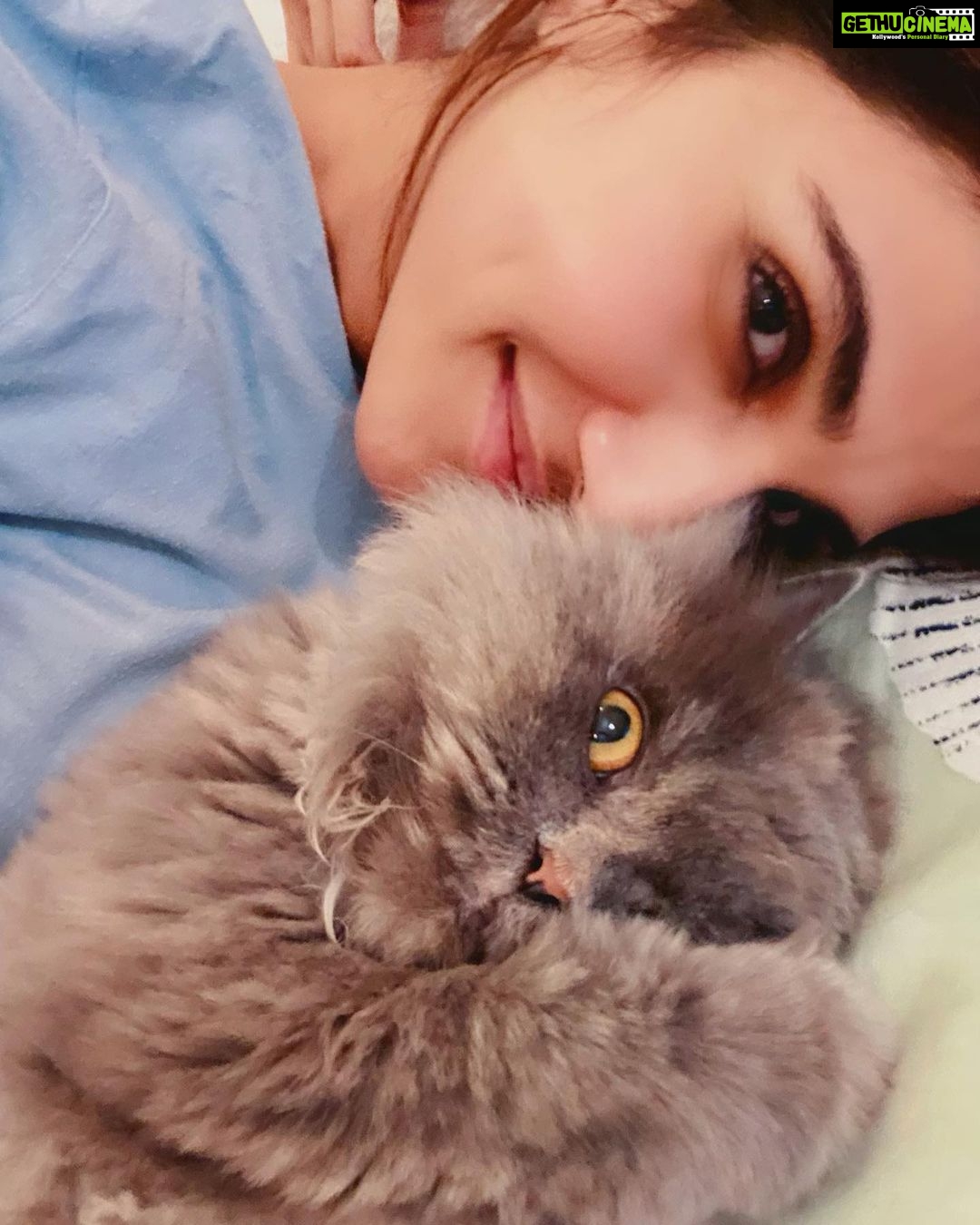Vaani Kapoor Instagram - Love you meow and fureverrr. 🐱