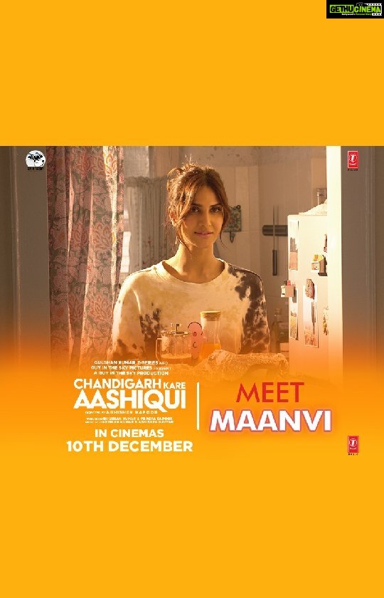 Vaani Kapoor Instagram - Graceful. Strong. Level headed. Independent. But that’s not all 🙃 #ChandigarhKareAashiqui IN CINEMAS 10TH DECEMBER @gattukapoor @ayushmannk #BhushanKumar @pragyakapoor_ #KrishanKumar @abny7 @paranjapetushar #supratiksen @castingchhabra @sachinjigar @tseriesfilms @gitspictures @tseries.official