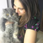 Vaani Kapoor Instagram - This cute little thing! 🐱❤️