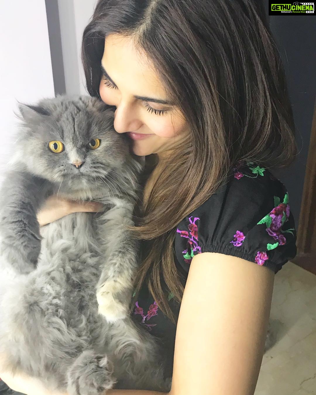 Vaani Kapoor Instagram - This cute little thing! 🐱❤️