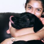 Varsha Bollamma Instagram - I look at you and see sunshine 🥺🐶❤️