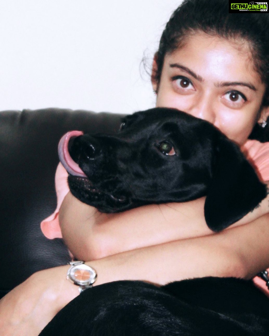 Varsha Bollamma Instagram - I look at you and see sunshine 🥺🐶❤️