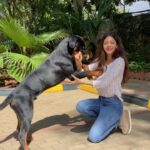 Vedhika Instagram - Training session avec my Shonuu Babbu/Mali aka Gundoo Mali aka Babbooh aka @oscarkumar2021 ❤️ @carnivous351 @thecaninecoachdogtraining