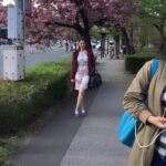 Vedhika Instagram – #Japan #CherryBlossom #BeforeCorona