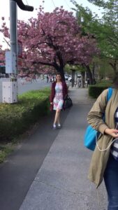 Vedhika Instagram - #Japan #CherryBlossom #BeforeCorona