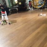 Vedhika Instagram - #BehindTheScenes #Shivalinga #PlayingPossessed #Memorable #Shivarajkumar #PVasu #Stunt