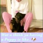 Vedhika Instagram – #HappyInternationalDogDay #ExpectationsvsReality 👹😈🐶♥️ Shonu babooh @oscarkumar2021