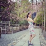 Vedhika Instagram - #Japan #May2017 #Kyoto Ryoanji Temple