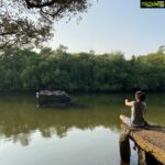 Vega Tamotia Instagram - Dr Salim Bird Santuary is one of the most unique places I have ever visited. Mangroves are just so beautiful! A must visit for anyone coming to Goa. #Goa #Nature #Stunning #MoreToGoaThanPartiesAndBeaches #BirdSanctuary Goa, India