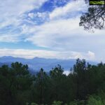 Vega Tamotia Instagram - I could get used to this view. #Kasauli #AboveTheClouds
