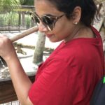 Vidya Balan Instagram - Feeding alligators in the sweltering heat at the #GatorPark in Florida 😜. Aaj toh banta hai to say, See ya later Alligator 😂!! Thankoo for d vdo @kedar.teny 🙂.