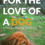 Vidya Balan Instagram - All The Very Best 👍 @neyenamaru .... More power to your compassionate heart #AnuragDasgupta ♥️ ! And this is a genuine appeal to all you dog/animal lovers out there...to help #CROWDFUND #ForTheLoveOfADog 🙏🙂. Details available on : https://www.indiegogo.com/projects/for-the-love-of-a-dog#/
