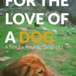 Vidya Balan Instagram – All The Very Best 👍 @neyenamaru …. More power to your compassionate heart #AnuragDasgupta ♥️ !
And this is a genuine appeal to all you dog/animal lovers out  there…to help #CROWDFUND #ForTheLoveOfADog 🙏🙂.
Details available on : 
https://www.indiegogo.com/projects/for-the-love-of-a-dog#/