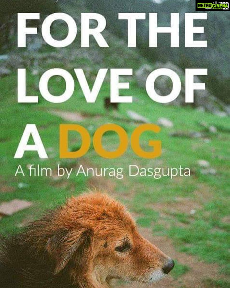 Vidya Balan Instagram - All The Very Best 👍 @neyenamaru .... More power to your compassionate heart #AnuragDasgupta ♥️ ! And this is a genuine appeal to all you dog/animal lovers out there...to help #CROWDFUND #ForTheLoveOfADog 🙏🙂. Details available on : https://www.indiegogo.com/projects/for-the-love-of-a-dog#/