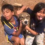 Vidya Balan Instagram - My jaans.... # doglovers #farmdogs #farmlife #unadulteratedlove #Ira & #Ruhaan 💝💝!!