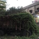 Vidya Balan Instagram - This truck sure took the GO GREEN slogan seriously 👍.