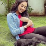 Vidya Pradeep Instagram - Bundles of joy 🐶🤍 Pondicherry