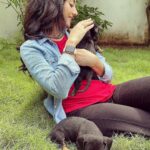 Vidya Pradeep Instagram - Bundles of joy 🐶🤍 Pondicherry