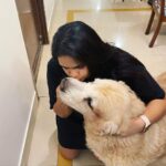 Vidyulekha Raman Instagram - Latergram - May 20th ‘21. The second lockdown birthday of my Bailey baby. He turns 10 today (thatha vibes) 👴🏼 Made him a dog-friendly cake with peanut butter, oats and banana. 🍌🍯 Small pleasures of lockdown. 🥰💕 #goldenretriver #goldenretrieversofinstagram #dogcake #doglover