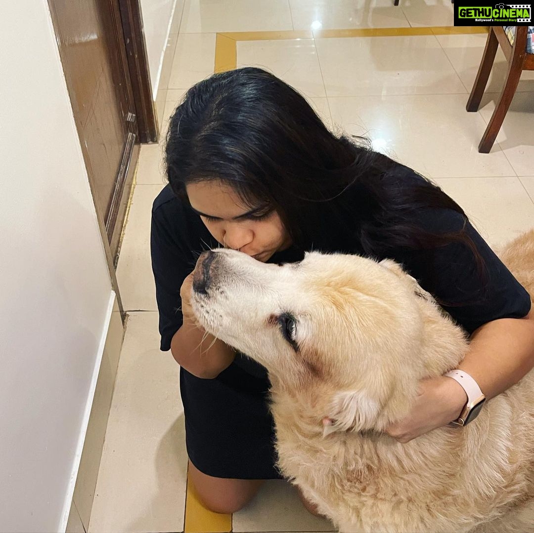 Vidyulekha Raman Instagram - Latergram - May 20th β21. The second lockdown birthday of my Bailey baby. He turns 10 today (thatha vibes) π΄πΌ Made him a dog-friendly cake with peanut butter, oats and banana. ππ― Small pleasures of lockdown. π₯°π #goldenretriver #goldenretrieversofinstagram #dogcake #doglover
