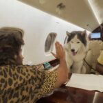 Vijay Deverakonda Instagram – This Gentleman’s first plane ride.