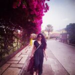 Vishakha Singh Instagram - Ten filters later😁 . . . #Holiday #vacay #LoFi #instagram #instagramfilters #morningglory #bouganvillea #green #pink # sulavineyards Sula Vineyards
