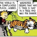 Vishakha Singh Instagram – Every cloud has a silver lining. 
The upside of reset : rest & sleep.
.
.
#calvinandhobbes #world #woes #musings #life #corona #lifeinthetimeofcorona #complicated