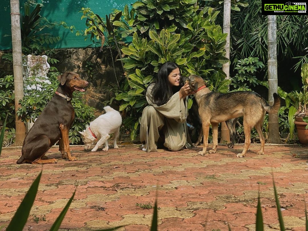 Wamiqa Gabbi Instagram - Sorry bruh!! I cannot be not grateful 🙏🏽 #Phoebe #Gabbar #Fluky #Juliana (#Milie was not in the mood to get clicked)