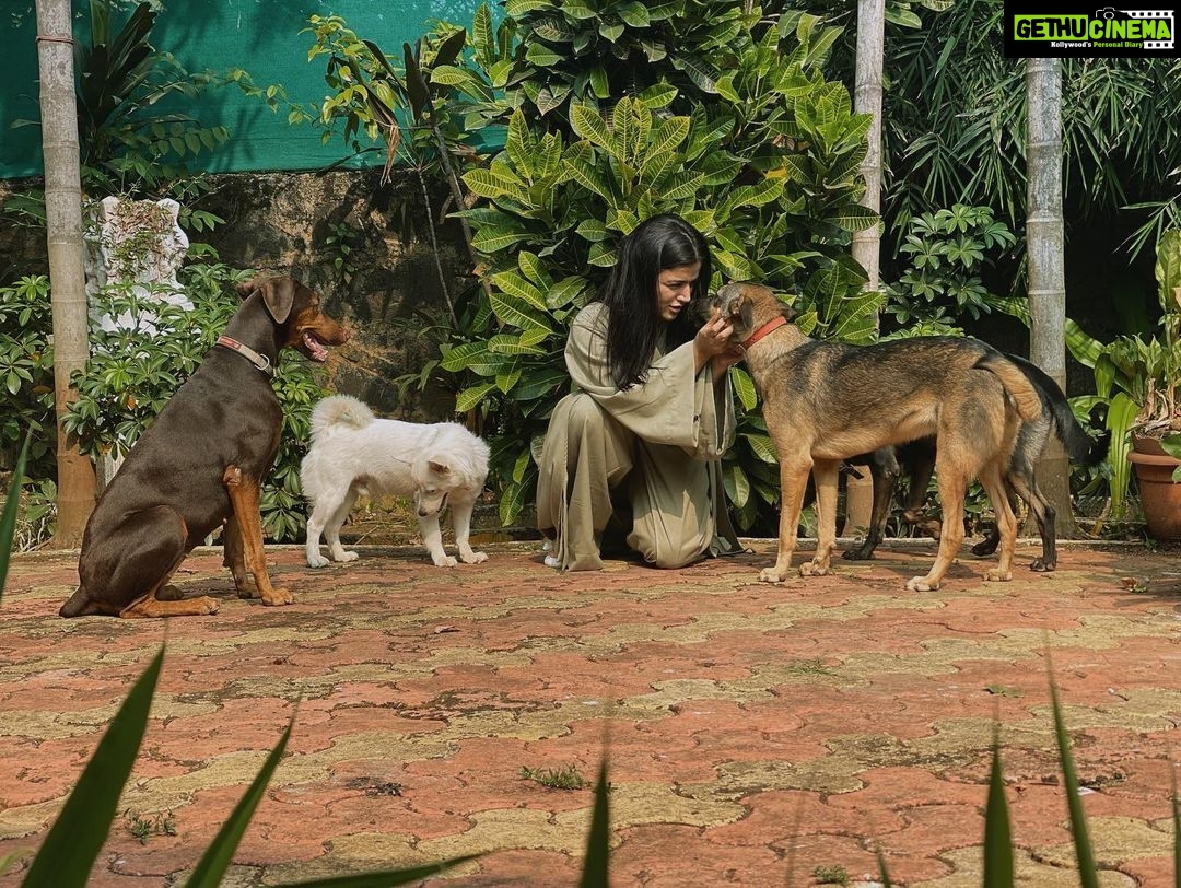 Wamiqa Gabbi Instagram - Sorry bruh!! I cannot be not grateful 🙏🏽 #Phoebe #Gabbar #Fluky #Juliana (#Milie was not in the mood to get clicked)