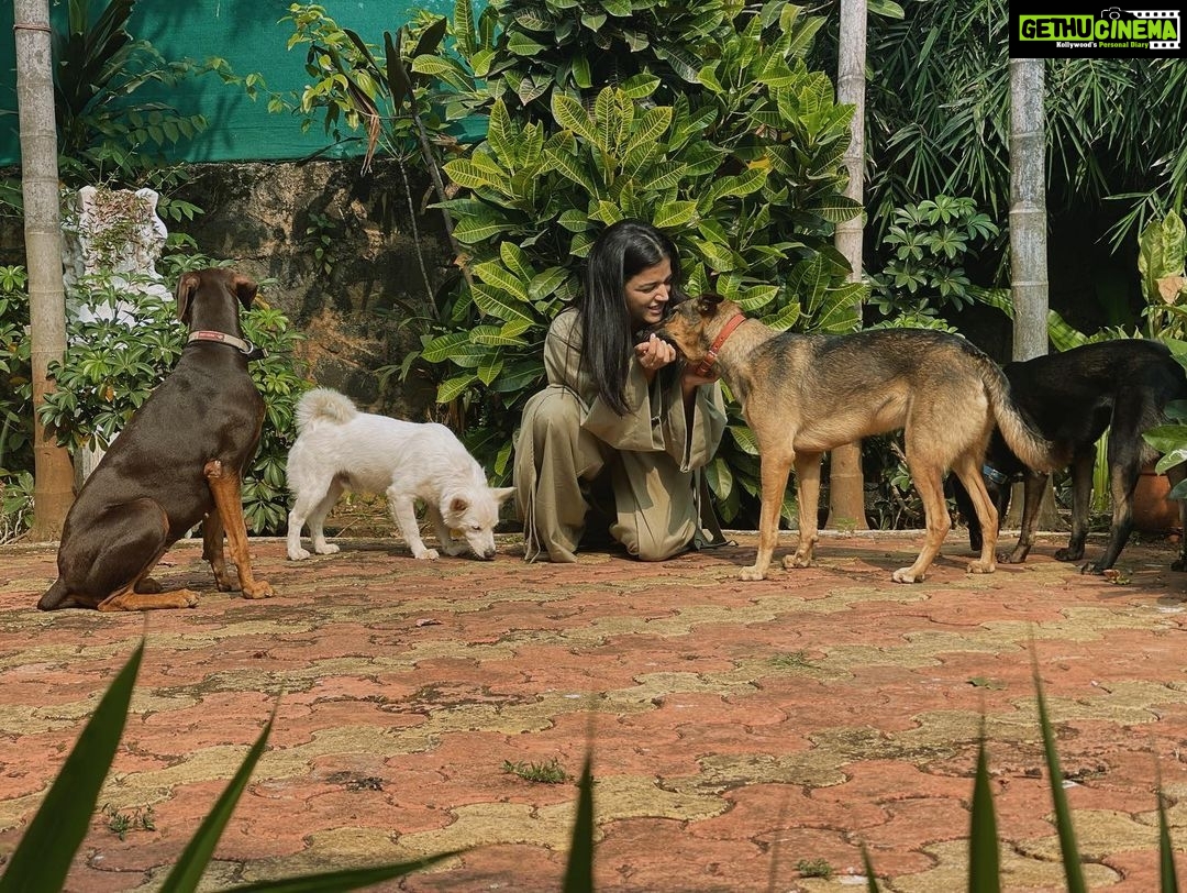 Wamiqa Gabbi Instagram - Sorry bruh!! I cannot be not grateful 🙏🏽 #Phoebe #Gabbar #Fluky #Juliana (#Milie was not in the mood to get clicked)