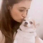 Yuvika Chaudhary Instagram - @hipiofficialapp #yuvikachaudhary #chikoo #animallover #music #instagood #in #insta