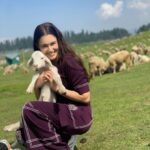 Yuvika Chaudhary Instagram – #Kashmir  #animalovers #animals @shalinirathodofficial