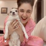 Yuvika Chaudhary Instagram - Chikoo loves shoot because he gets all the attention #filmy #pet #chikoo #yuvikachaudhary #shooting #bollywoodsongs @styleuptogether__